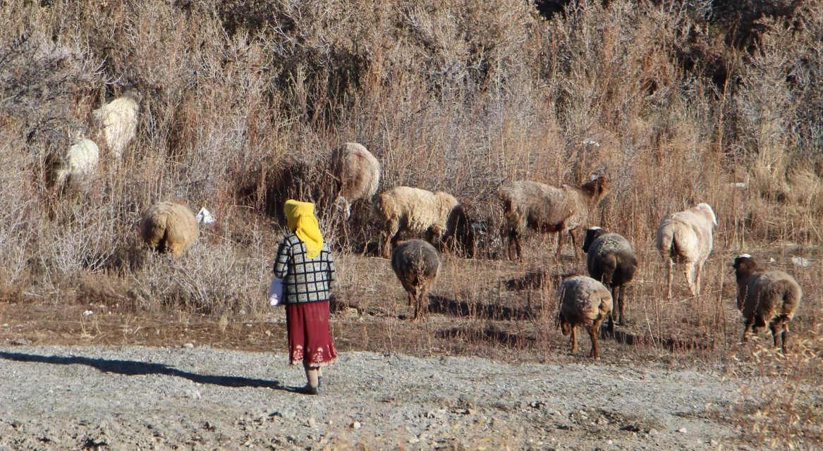 探访新疆帕米尔高原唯一白人民族,探秘帕米尔高原塔吉克族