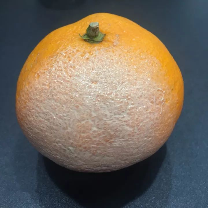 测评｜资生堂完美意境粉底霜（内含100元内资生堂好物推荐）