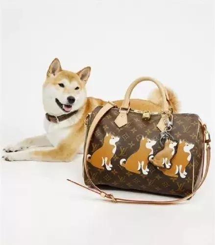 2018大牌狗年限定,狗年新年限定款