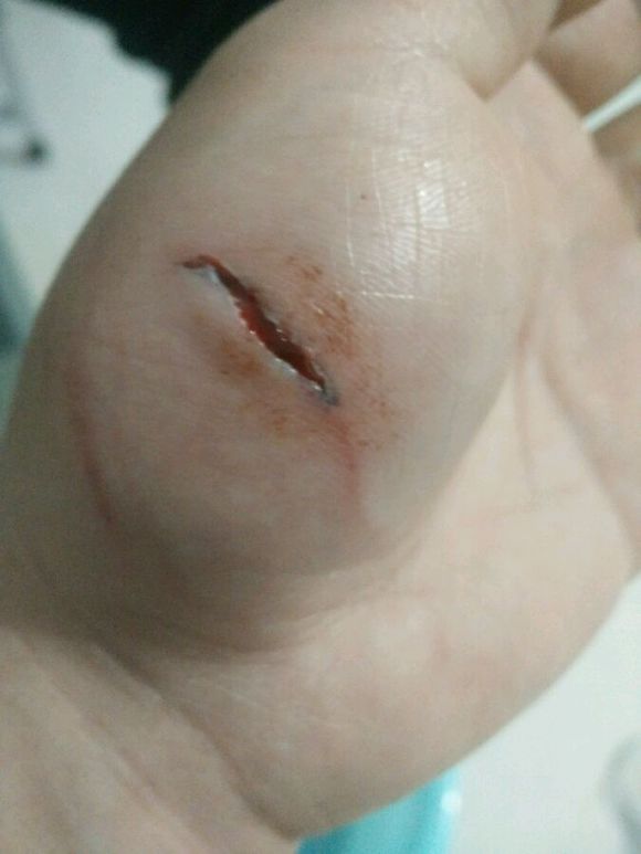 萨摩耶调皮瞬间,盘点萨摩耶可爱瞬间