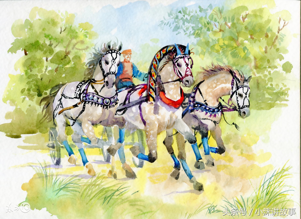 秦大妮艺人视频,秦大妮的小视频