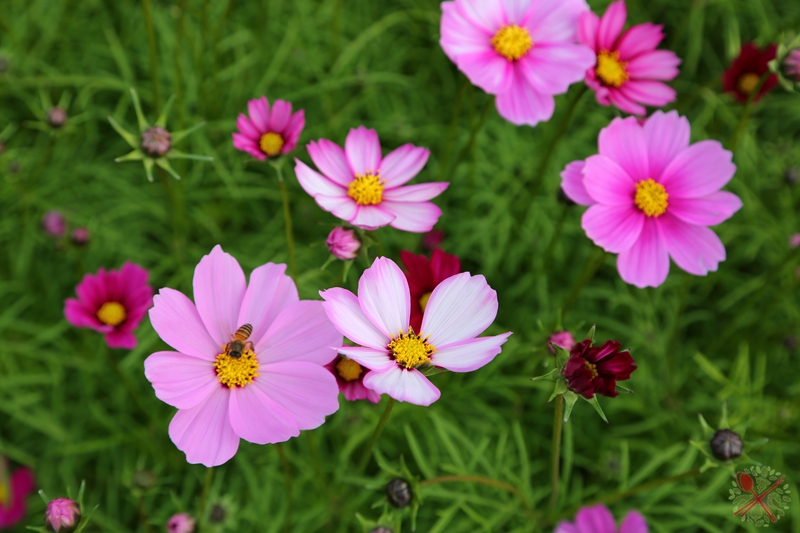 冬季温泉旅游景点推荐,到暖和的地方