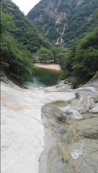 选择信阳最好毛尖茶怎么选,信阳高端毛尖茶冲泡带雾