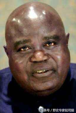 二战后最惨烈的战争：非洲的世界大战