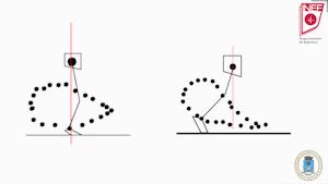 跑步快慢和脚脖子有关系,跑步的快慢跟胖瘦有关系