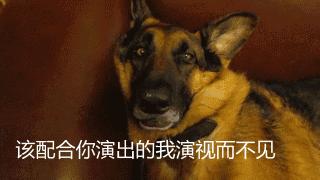 汽车证件都是干什么的,汽车的最重要的证件有哪些