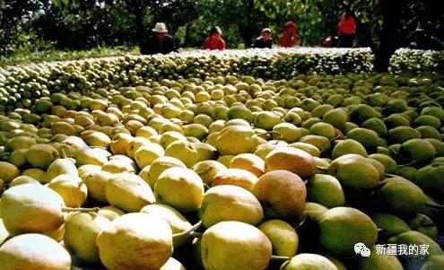 新疆新型城市,新疆刚建立的南疆城市