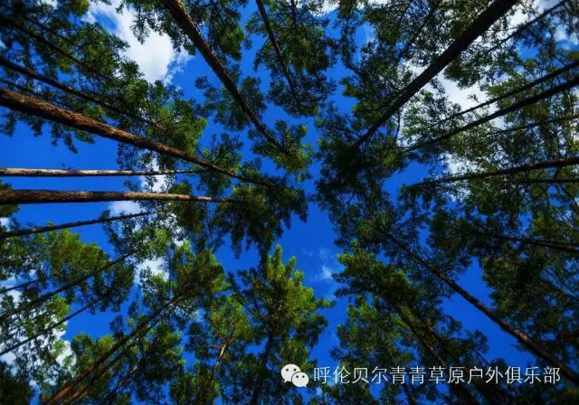 呼伦贝尔旅游自由行攻略,第一次呼伦贝尔自由行