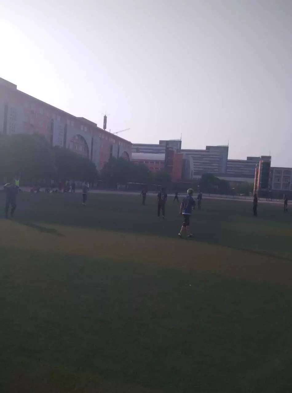 竞彩足球战报,战报主场5-0