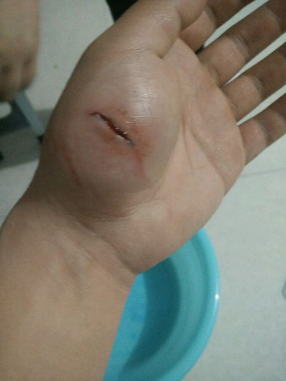 萨摩耶调皮瞬间,盘点萨摩耶可爱瞬间