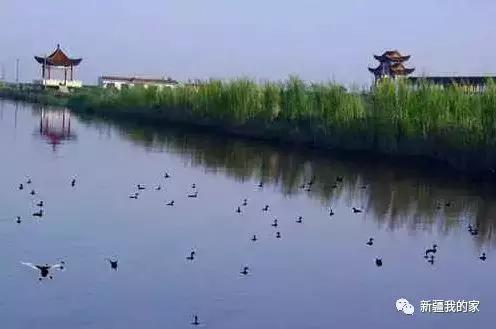 新疆新型城市,新疆刚建立的南疆城市