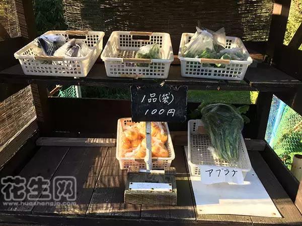 中国游客海外疯狂扫货视频,中国游客在韩国疯狂扫货是真的吗