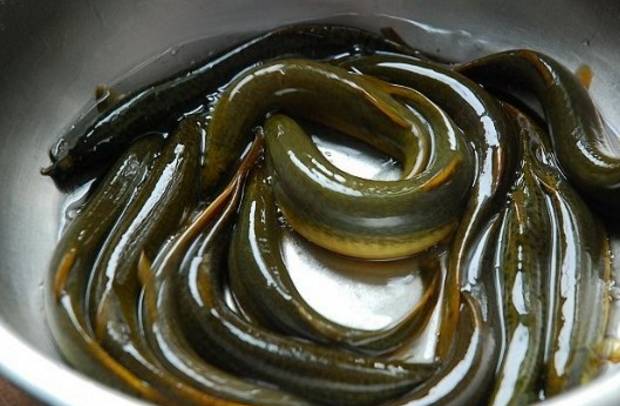 男性精子所有知识,如何判断精子死精