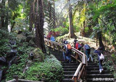 骨科主任提醒您：气温骤降，当心老寒腿！