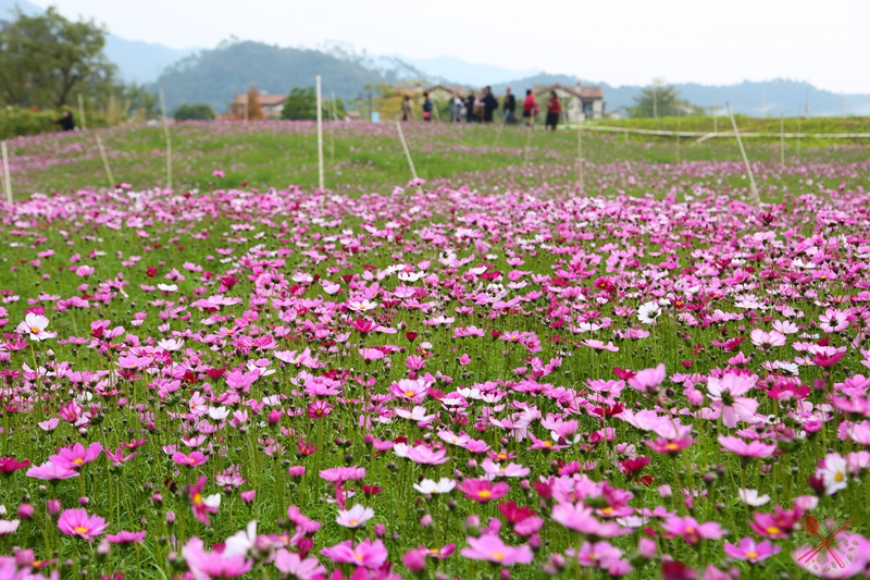 冬季温泉旅游景点推荐,到暖和的地方