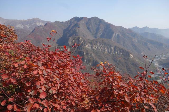 亦庄金茂悦南区成交走势,北京大兴金茂悦出售