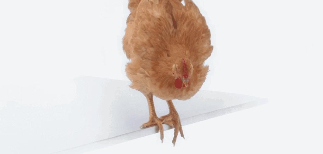 不甘平庸安踏广告,安踏早期广告