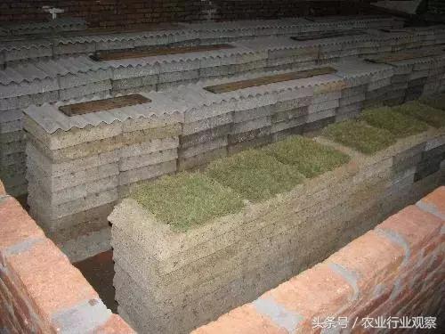 创业致富小型养殖项目,创业小黑板