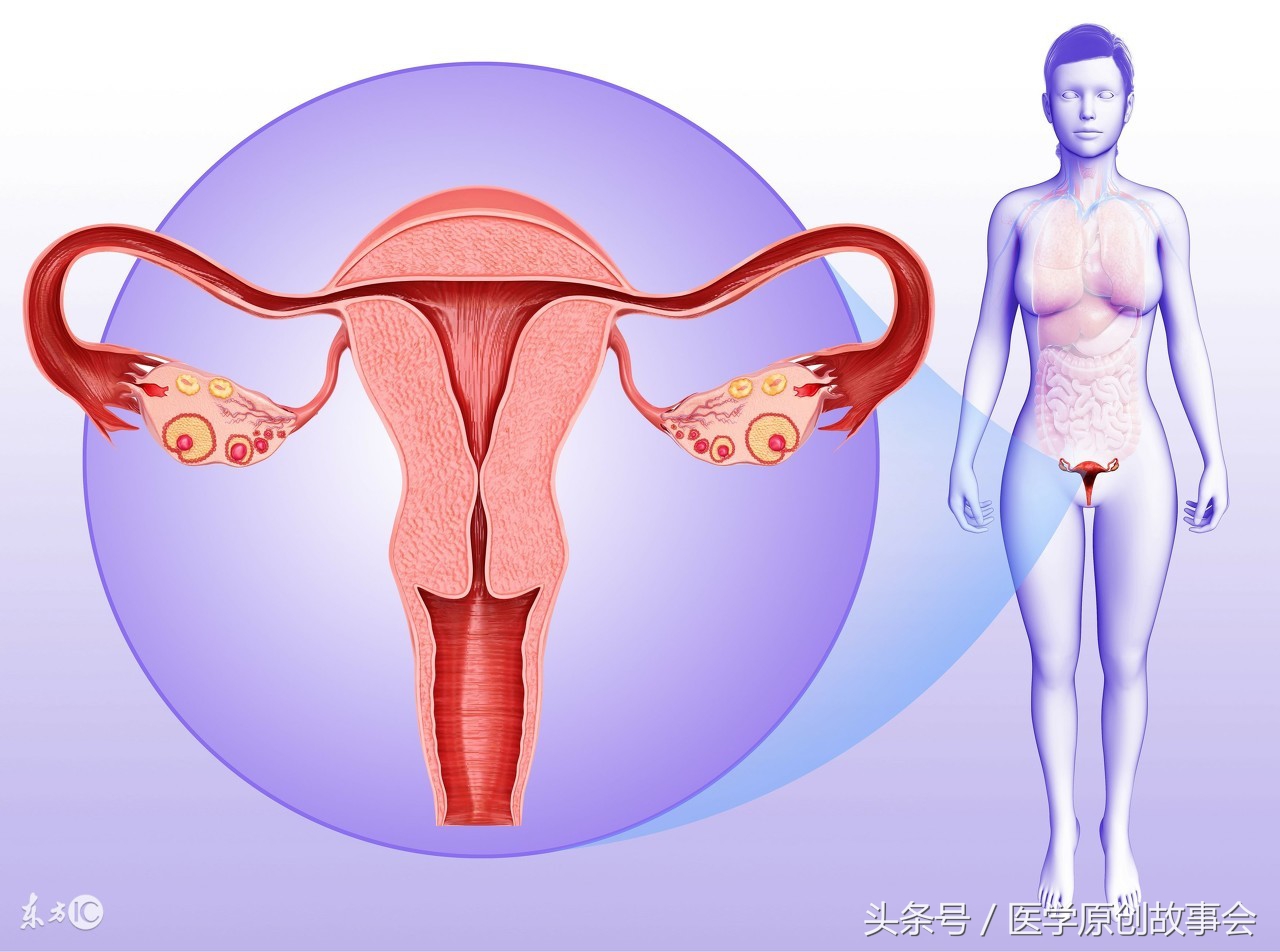 子宫切除后对身体有什么影响吗,子宫切除后对身体有影响吗