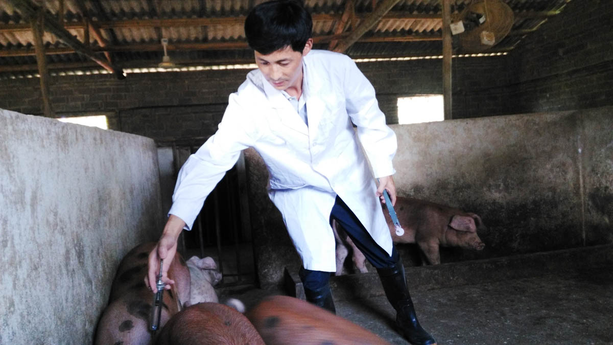 动物检疫员彭建平：把苦和累当成乐趣和享受