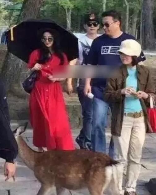 张翰在日本活动,张翰去日本旅游