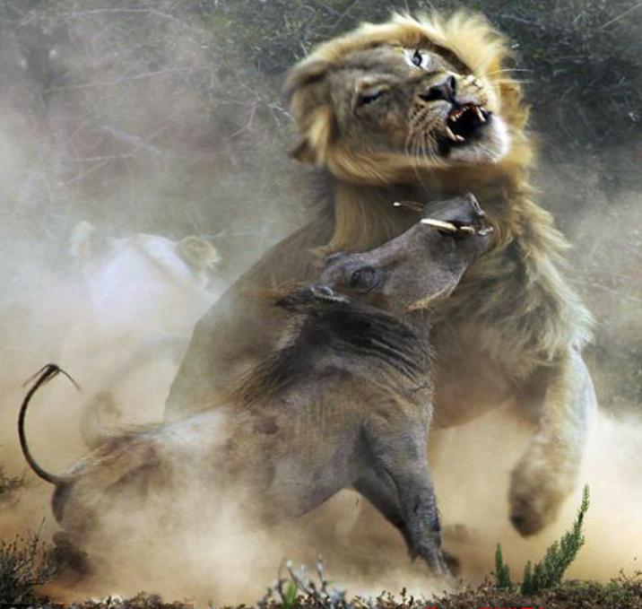 赚钱最多方法,赚钱最厉害的三个方法