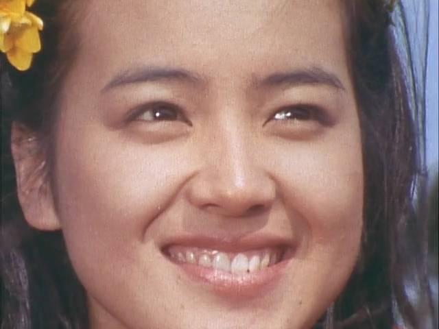 小鹿纯子满满的都是回忆 (小鹿纯子是否还在你的记忆中)