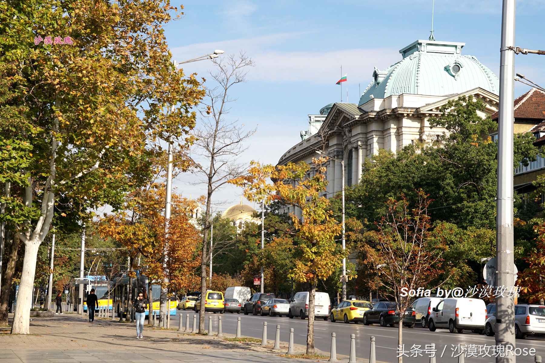 这座花园城市名为“聪颖”，你可知它名字的真实来历？
