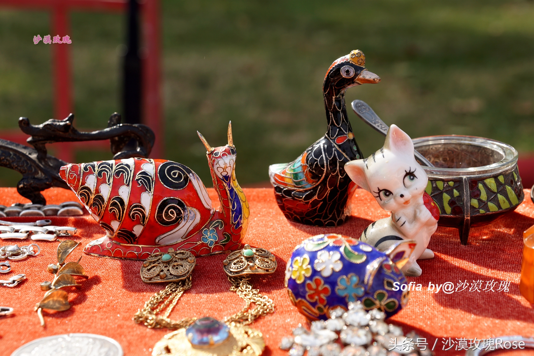 这座花园城市名为“聪颖”，你可知它名字的真实来历？