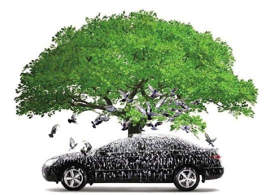 车身去除虫胶小妙招,如何去除车身上的虫