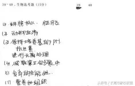 网上阅卷考生应关注答题技巧,电子阅卷答题用什么笔最好