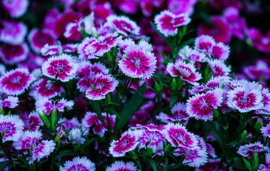 人生中的三大难关是什么,人生三大困境是指什么