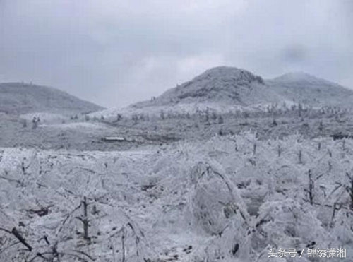 常宁高山有机茶,湖南常宁山村美景