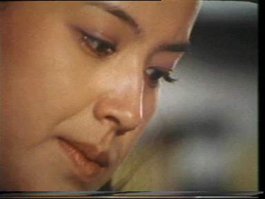 小鹿纯子满满的都是回忆 (小鹿纯子是否还在你的记忆中)