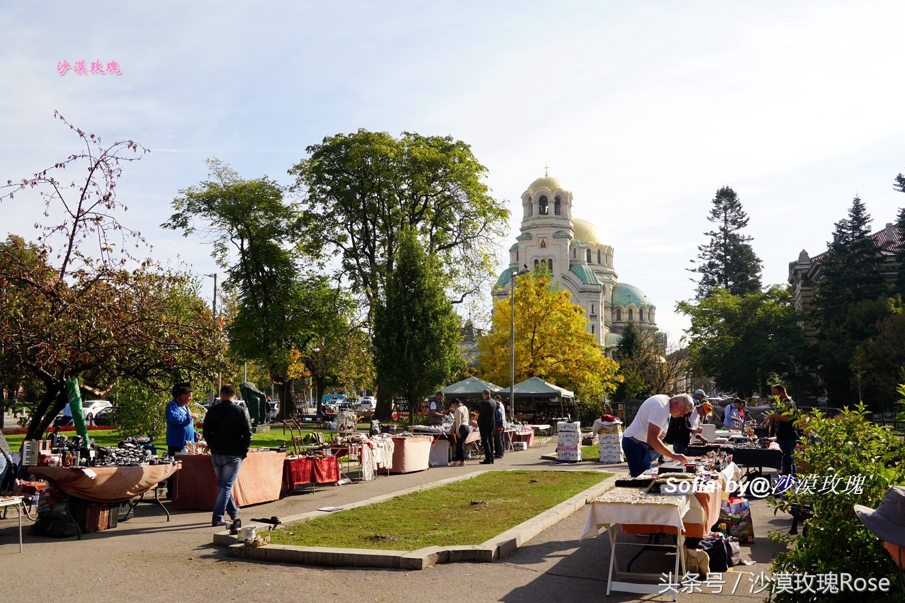 这座花园城市名为“聪颖”，你可知它名字的真实来历？