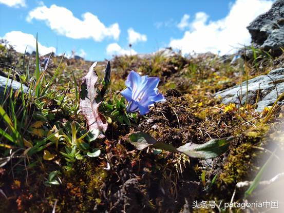 初秋洛克线实测Pioletjacket冲锋衣