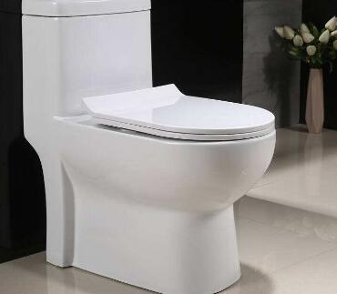 马桶被纸堵了怎么办马桶刷使用时要关注什么