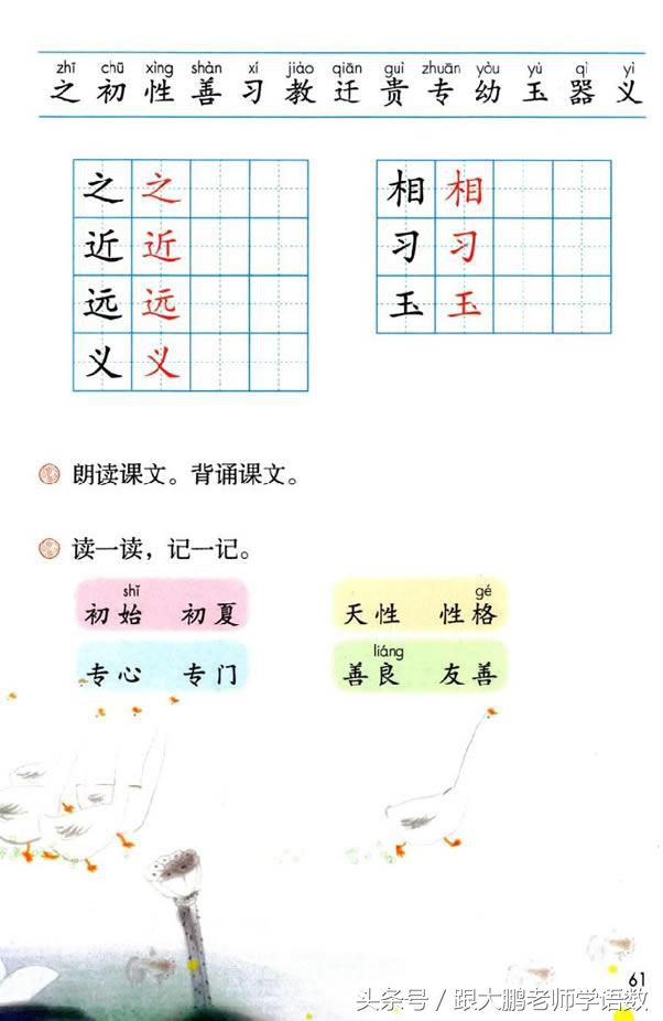 小学一年级语文预习的正确方法,一年级语文小公鸡和小鸭子预习