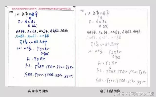 网上阅卷考生应关注答题技巧,电子阅卷答题用什么笔最好
