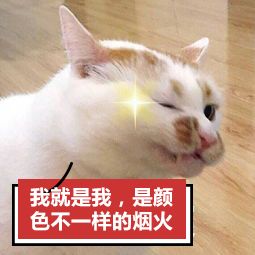 古代的人做了哪些愚蠢的事,古人的弱智操作