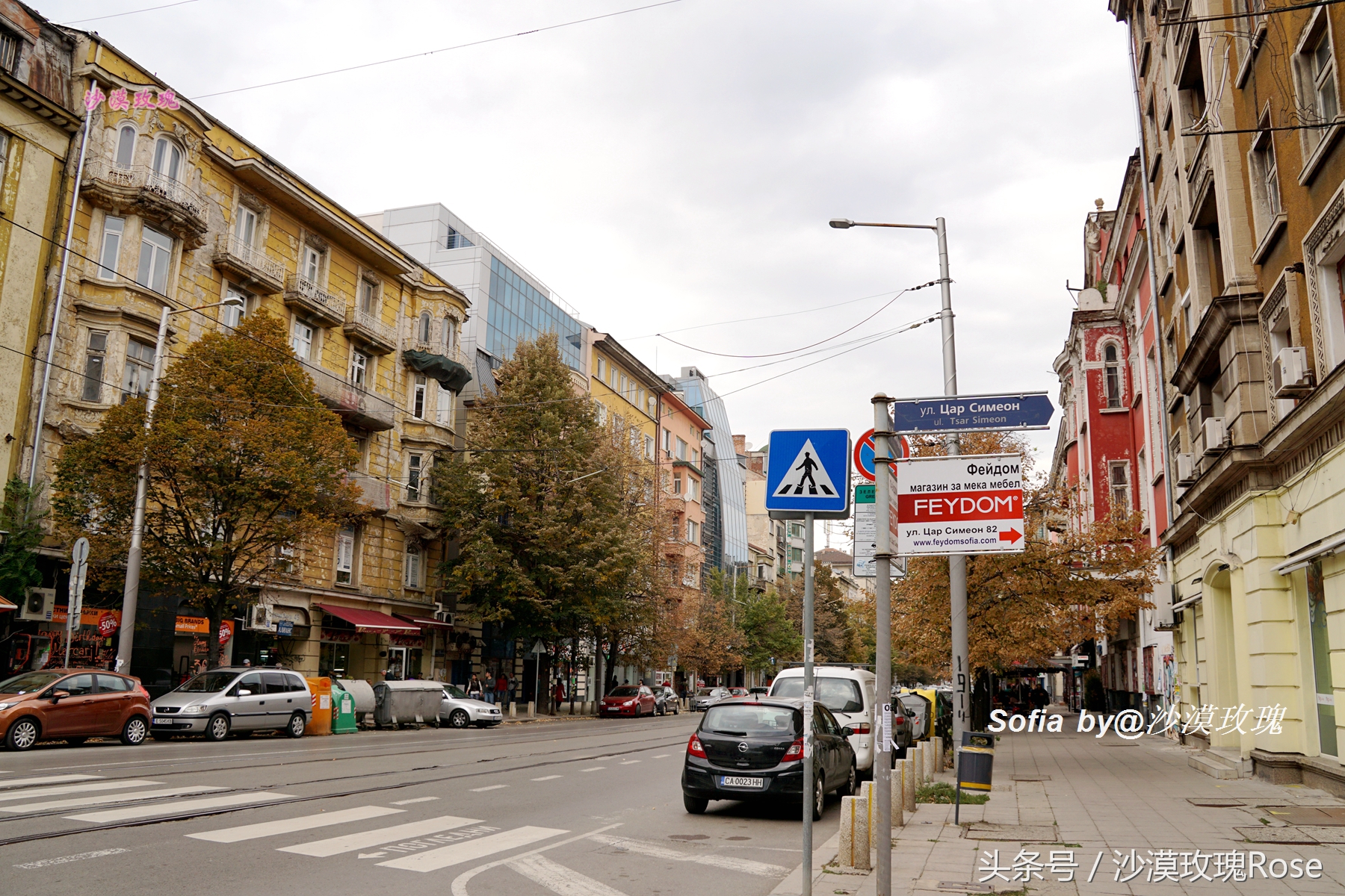 这座花园城市名为“聪颖”，你可知它名字的真实来历？