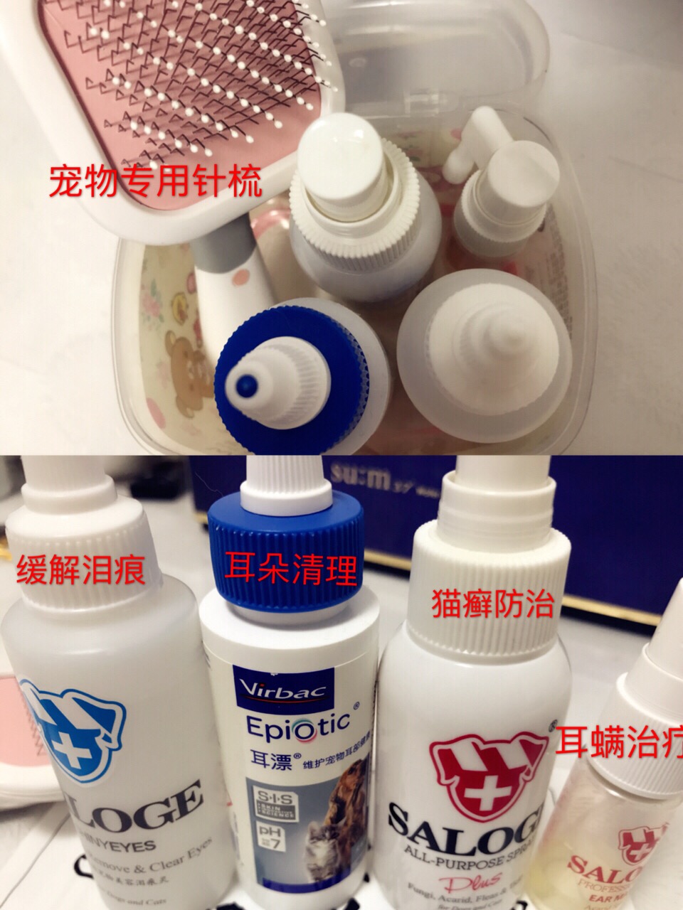 「铲屎官需知」猫咪高颜值必备，如何让猫咪拥有健康的皮肤？