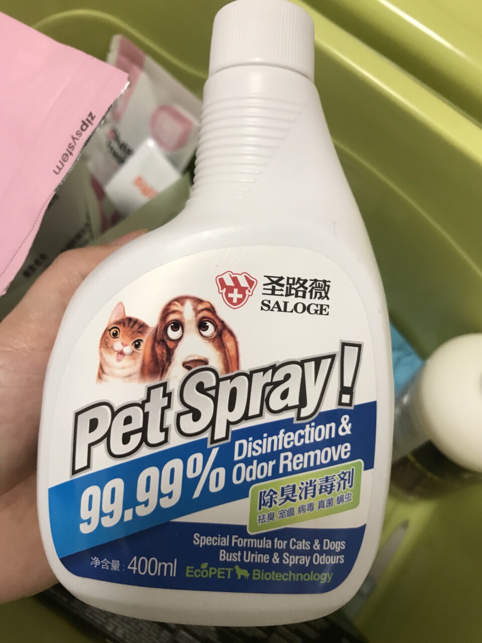 「铲屎官需知」猫咪高颜值必备，如何让猫咪拥有健康的皮肤？