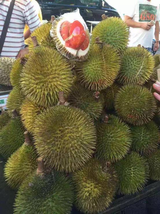 椹潵瑗夸簹娲涘厠灏间簹閽撳満,椹潵瑗夸簹閽撳満