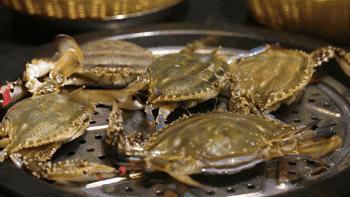 威海冬季海鲜更鲜美,冬季应季海鲜