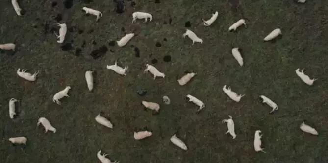 强烈安利这部10年前的电视剧,强烈安利这部电影