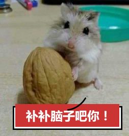 古代的人做了哪些愚蠢的事,古人的弱智操作