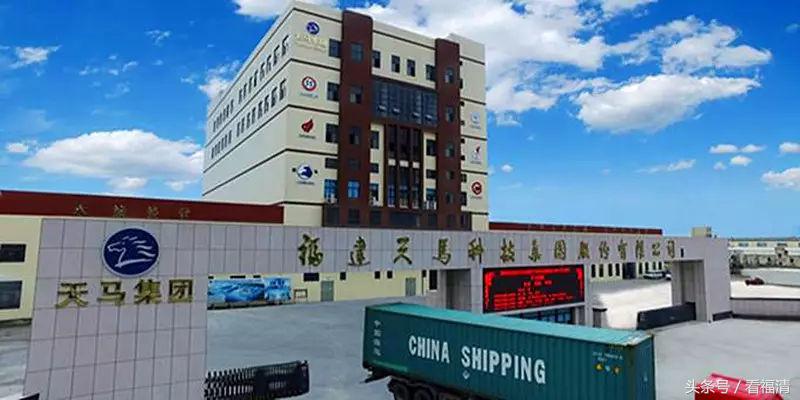 福建福清有哪些公司上市,福清即将开发的公司