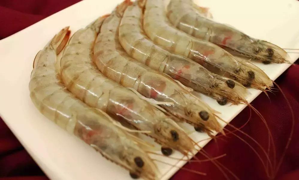 威海冬季海鲜更鲜美,冬季应季海鲜