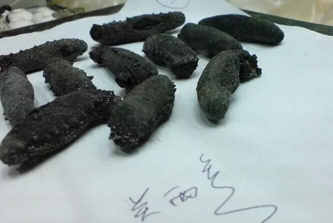 你知道世界上的鱼类有多少个,你知道的海底世界有多少种鱼